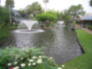 coligny-plaza_blur
