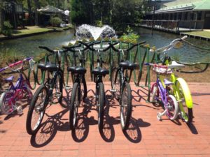 Alligator Bike Rack Coligny
